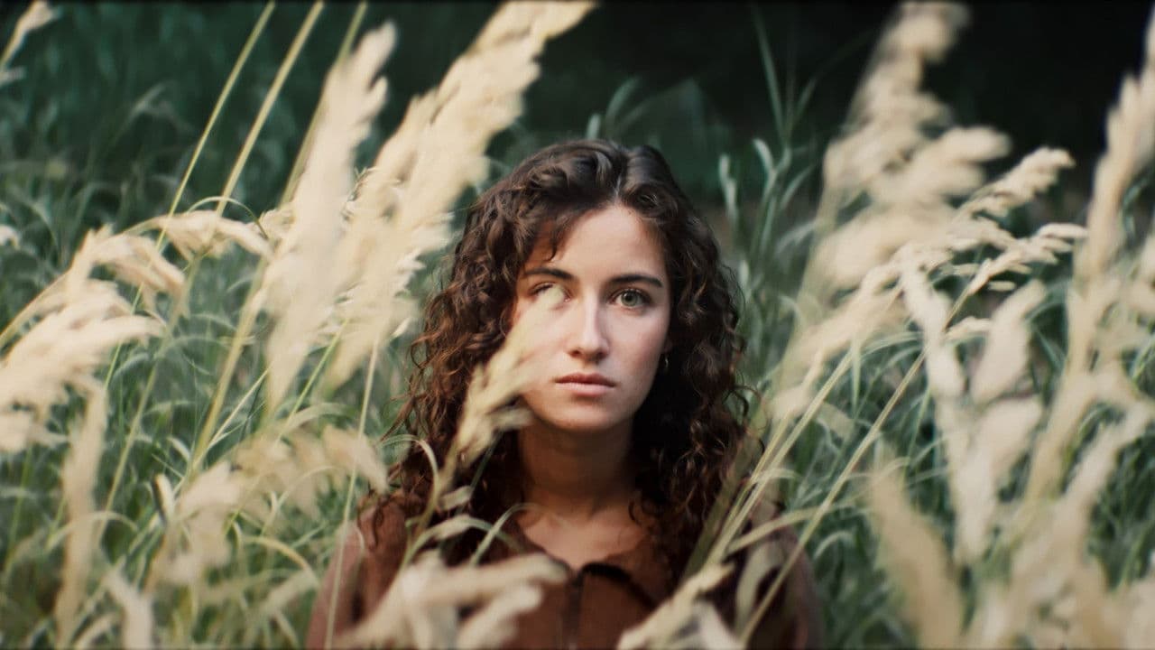 The Weight of Quiet Things