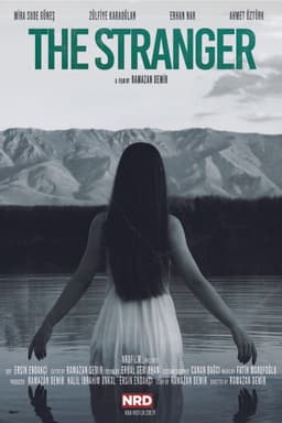 The Stranger