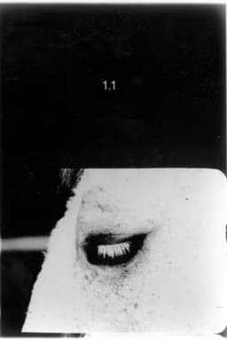 Pocket Cinema - The Catalogue