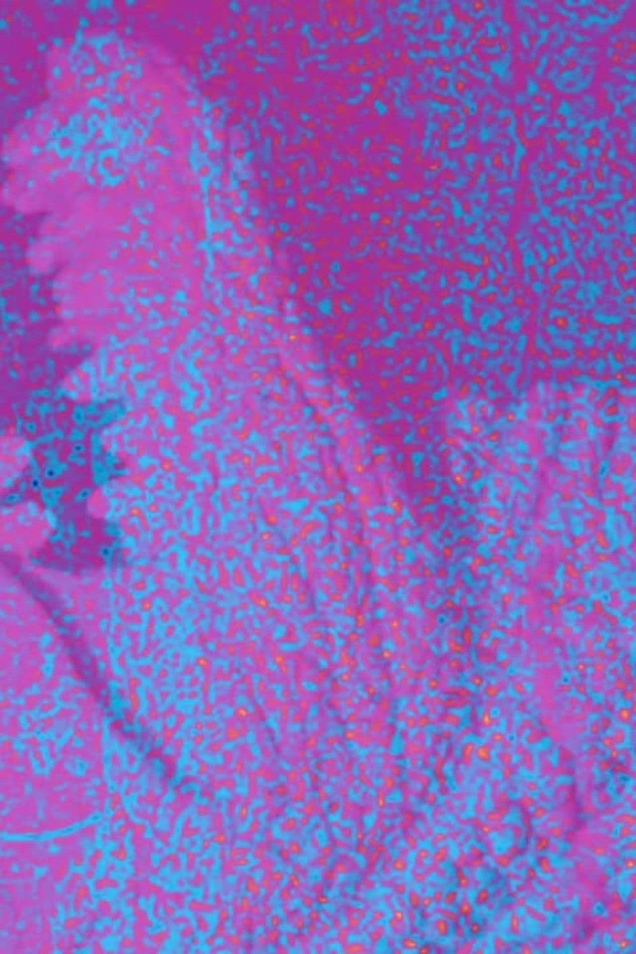 Jeb Rex Memorial Video