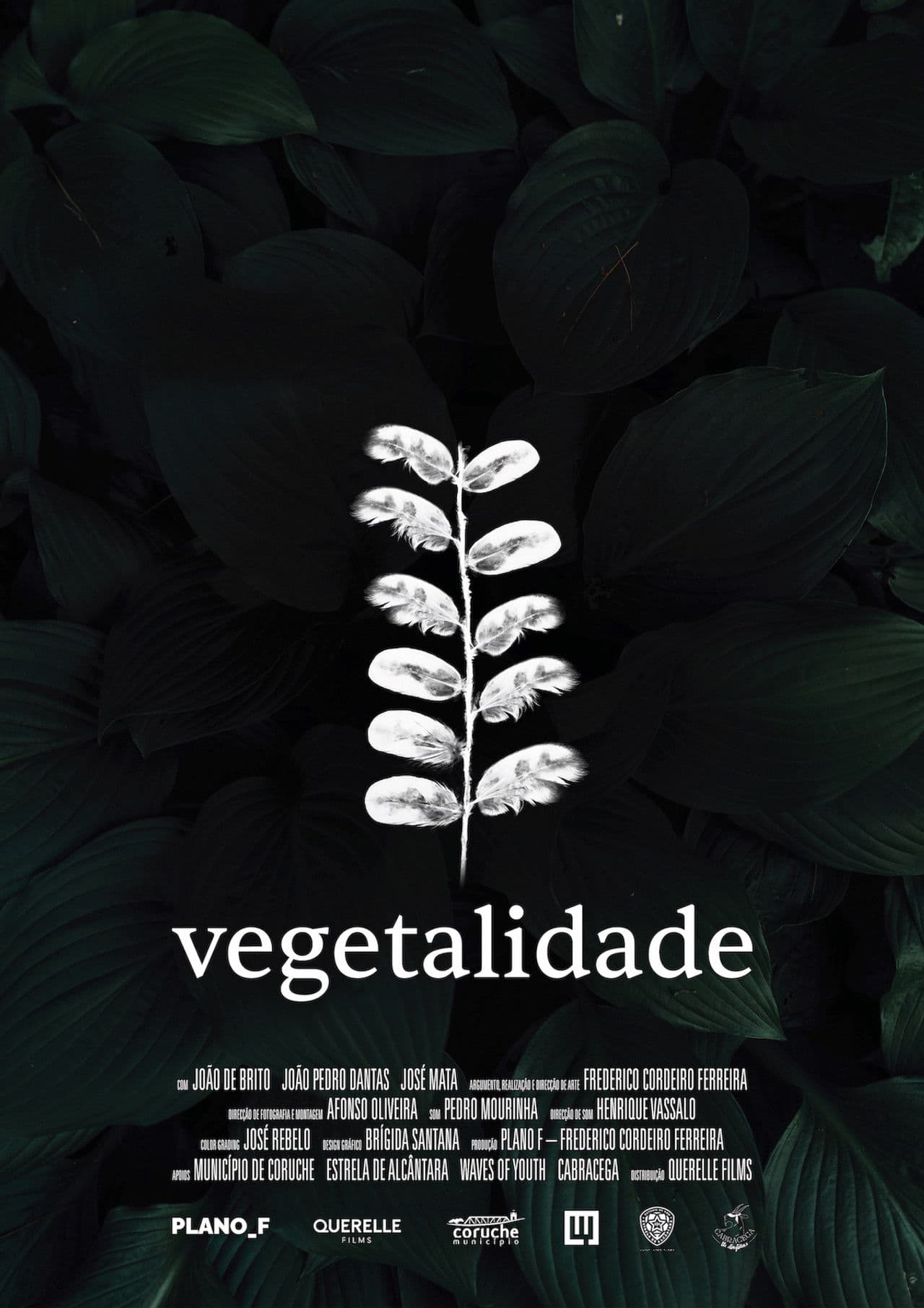 Vegetalidade