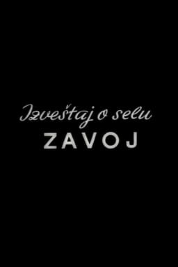 Report from the Zavoj Village