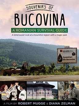 Souvenirs of Bucovina: A Romanian Survival Guide