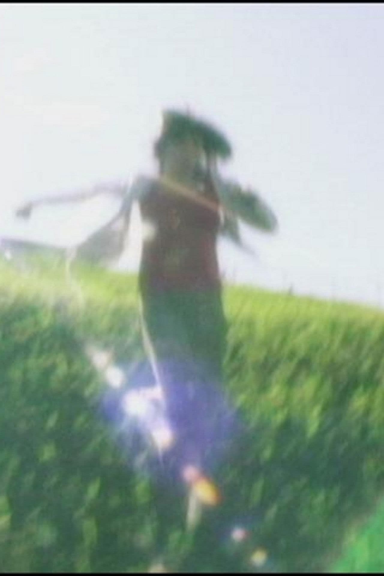 Wonderland in the Negative