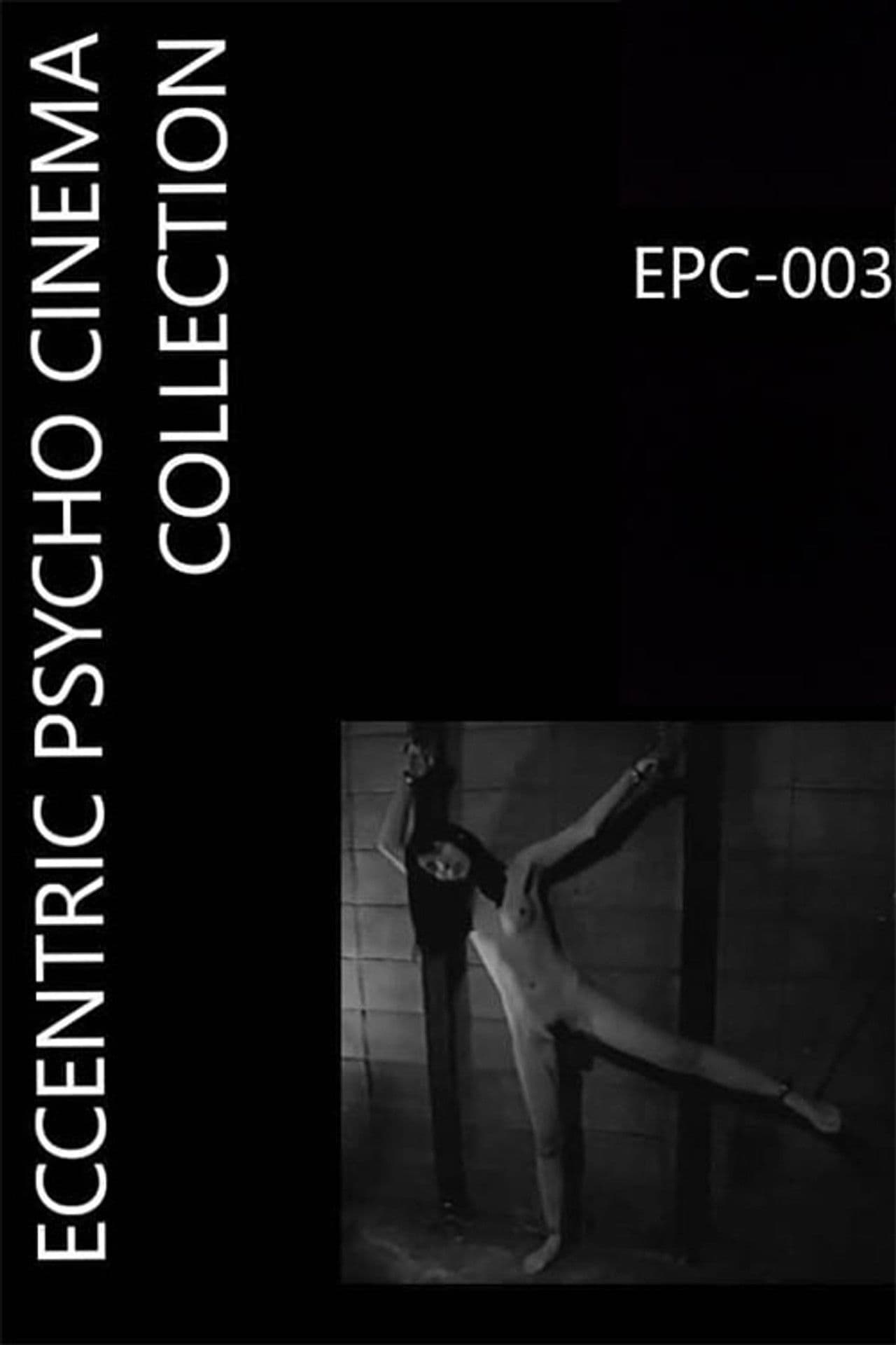 Female Body Collection: Stewardess Risa