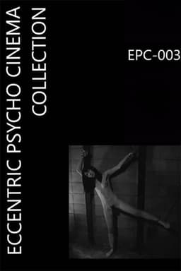 Female Body Collection: Stewardess Risa