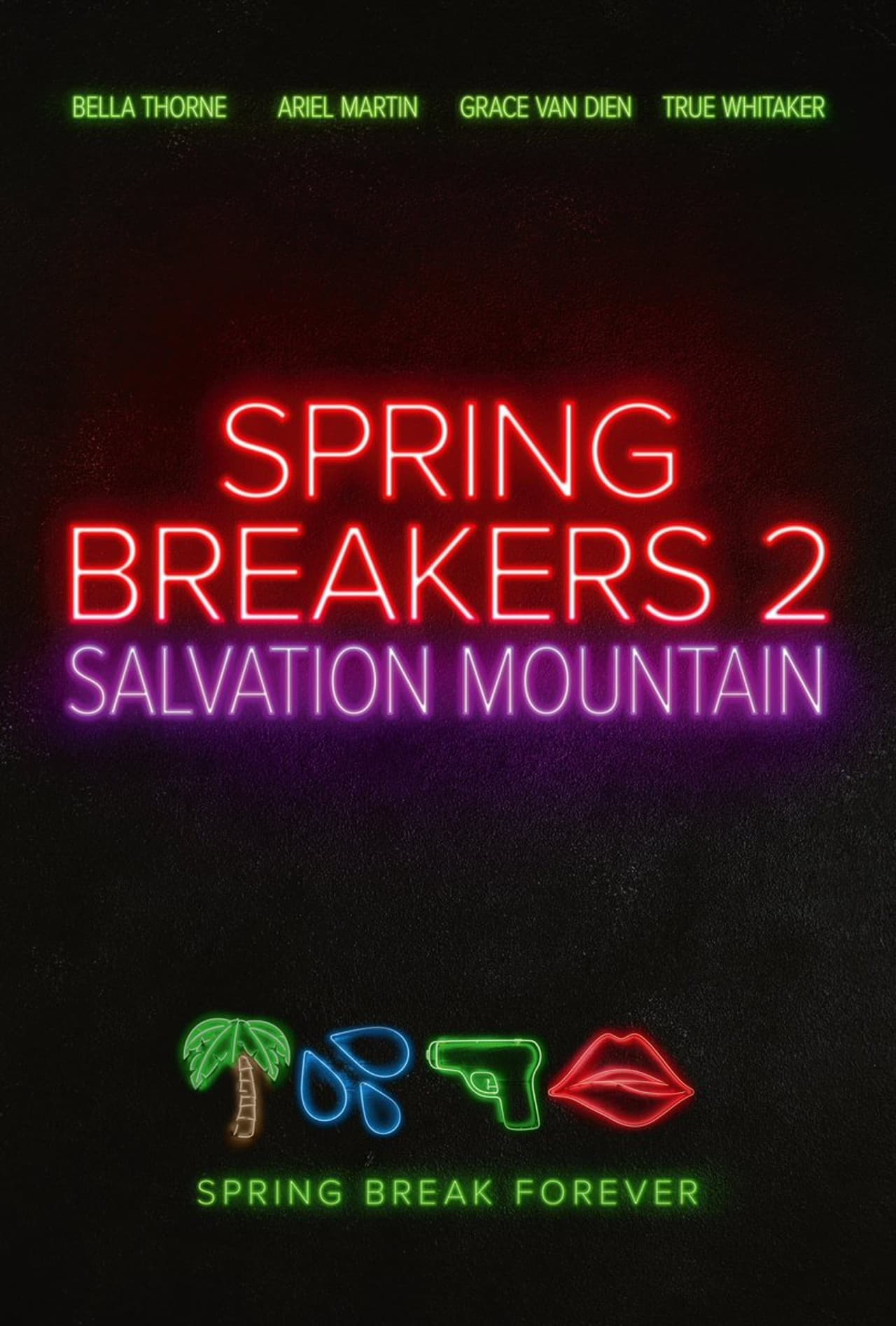Spring Breakers: Salvation Mountain