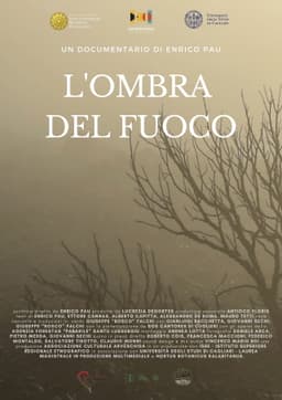 L'ombra del fuoco