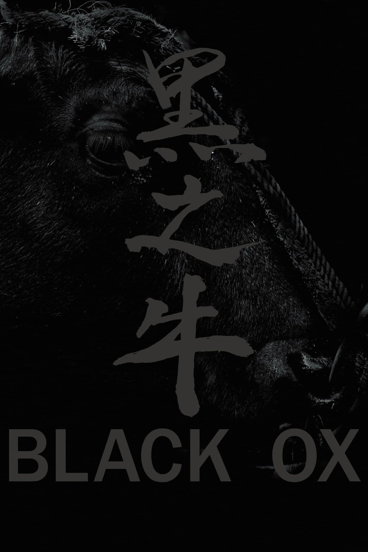 Black Ox