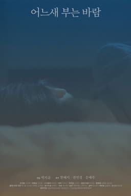 The Consolation of the Wind