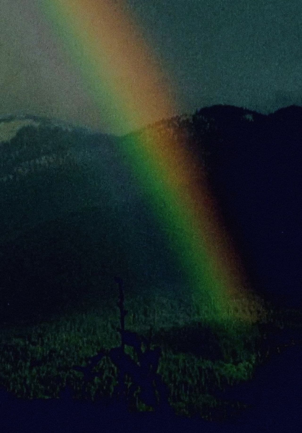 Running Shadow Part II