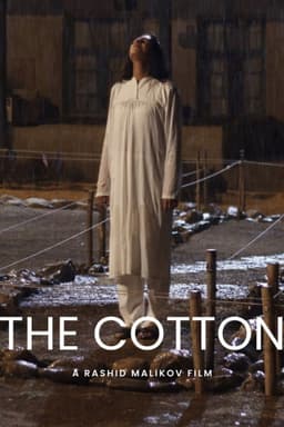 Cotton