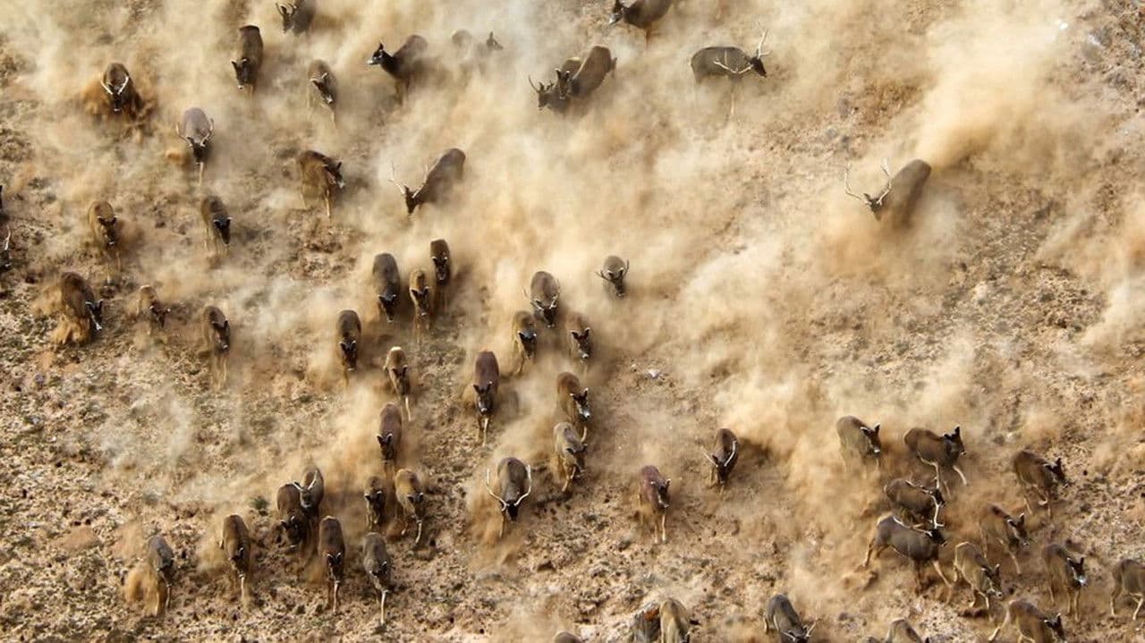 China's Wild Secrets