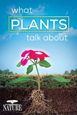 What Plants Talk About