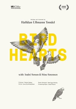 Bird Hearts