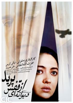 The Insane Flew Away