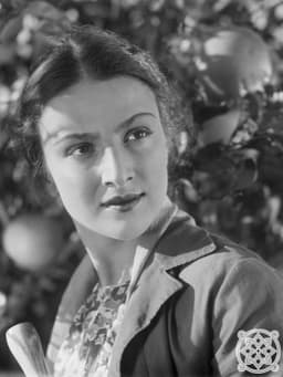 The Lights of Kolchis