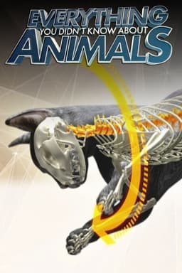 Everything You Didn't Know About Animals