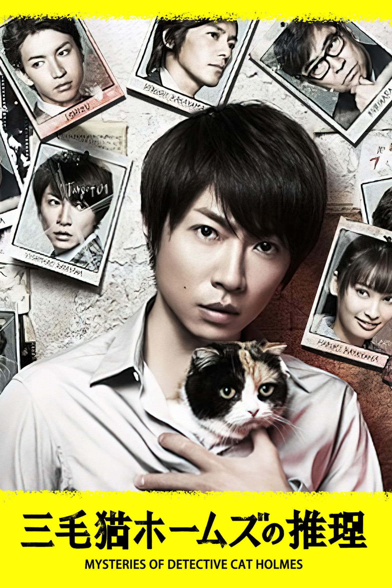 Mysteries of Detective Cat HOLMES