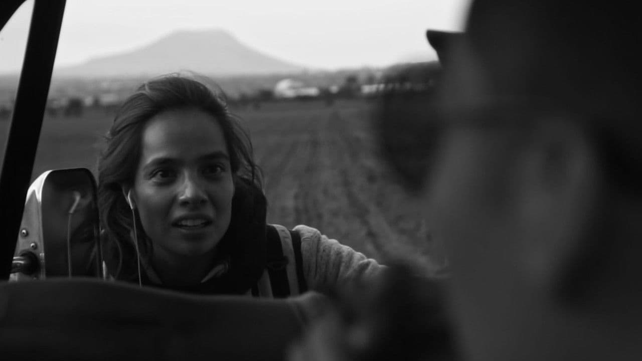 Particulars in the Abbys