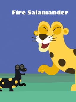 Fire Salamander