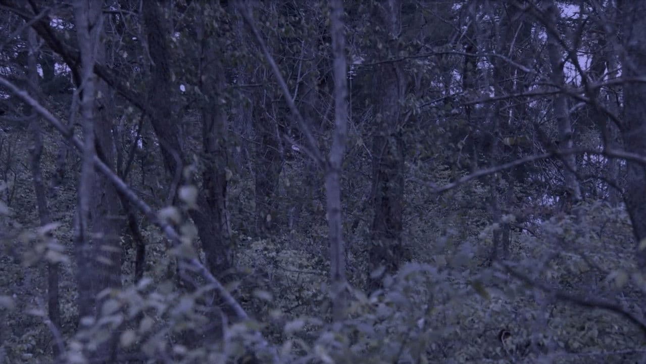 Sometime, Somewhere, in Bellwood