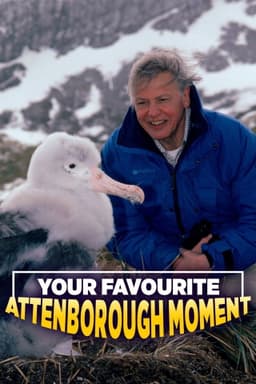 Your Favourite Attenborough Moment