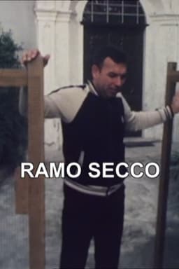 Zibaldino 86 Ramo secco