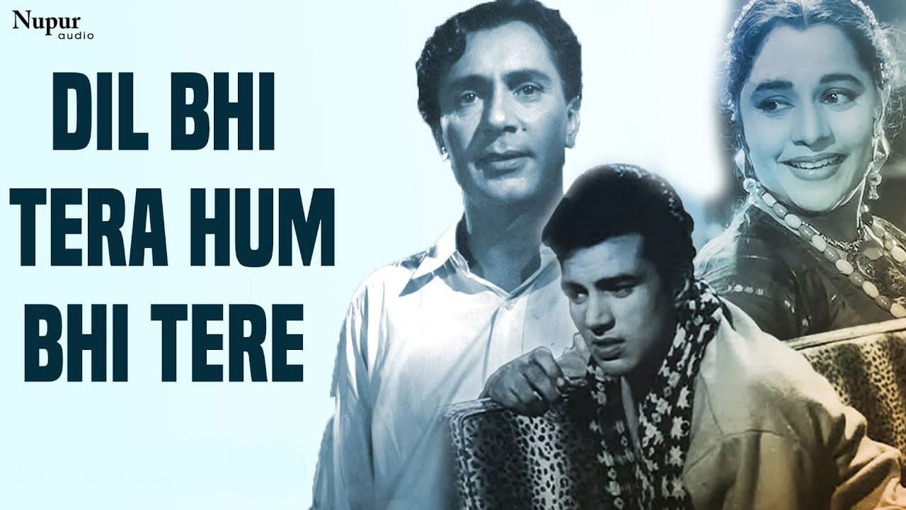 Dil Bhi Tera Hum Bhi Tere