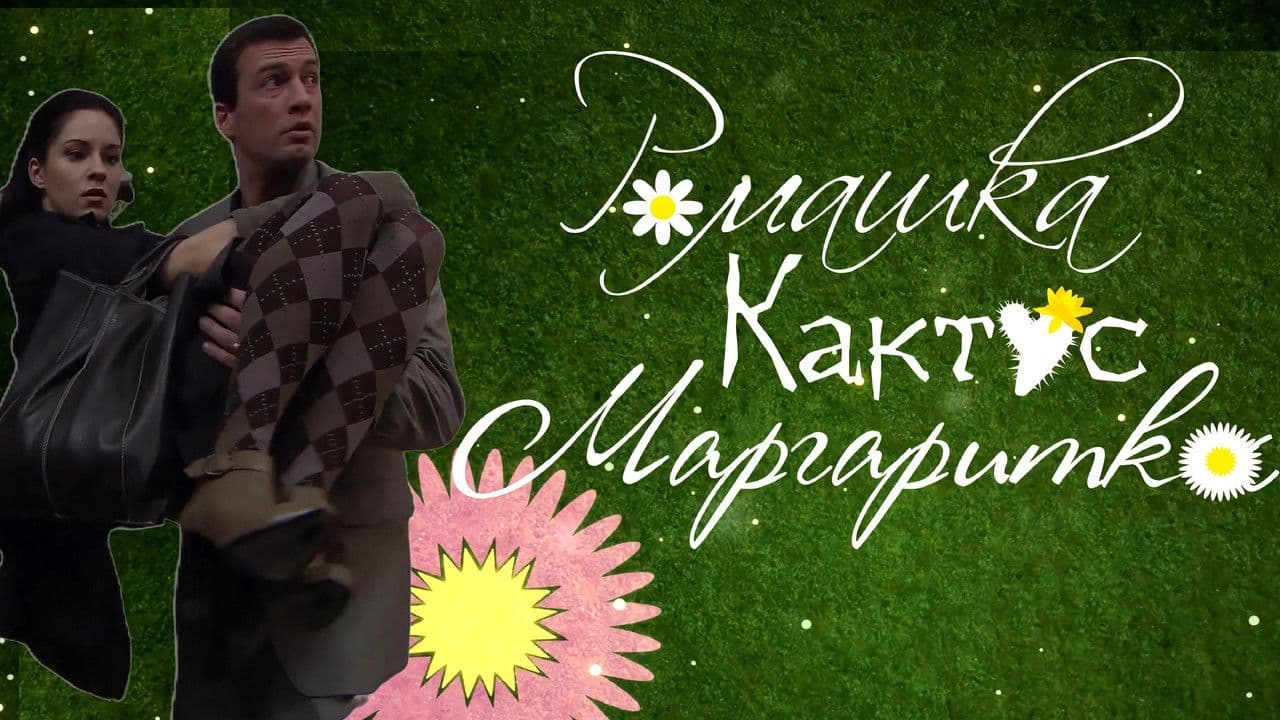 Chamomile, Cactus, Daisy