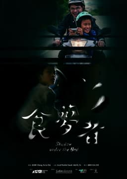 Shadow Under the Bed