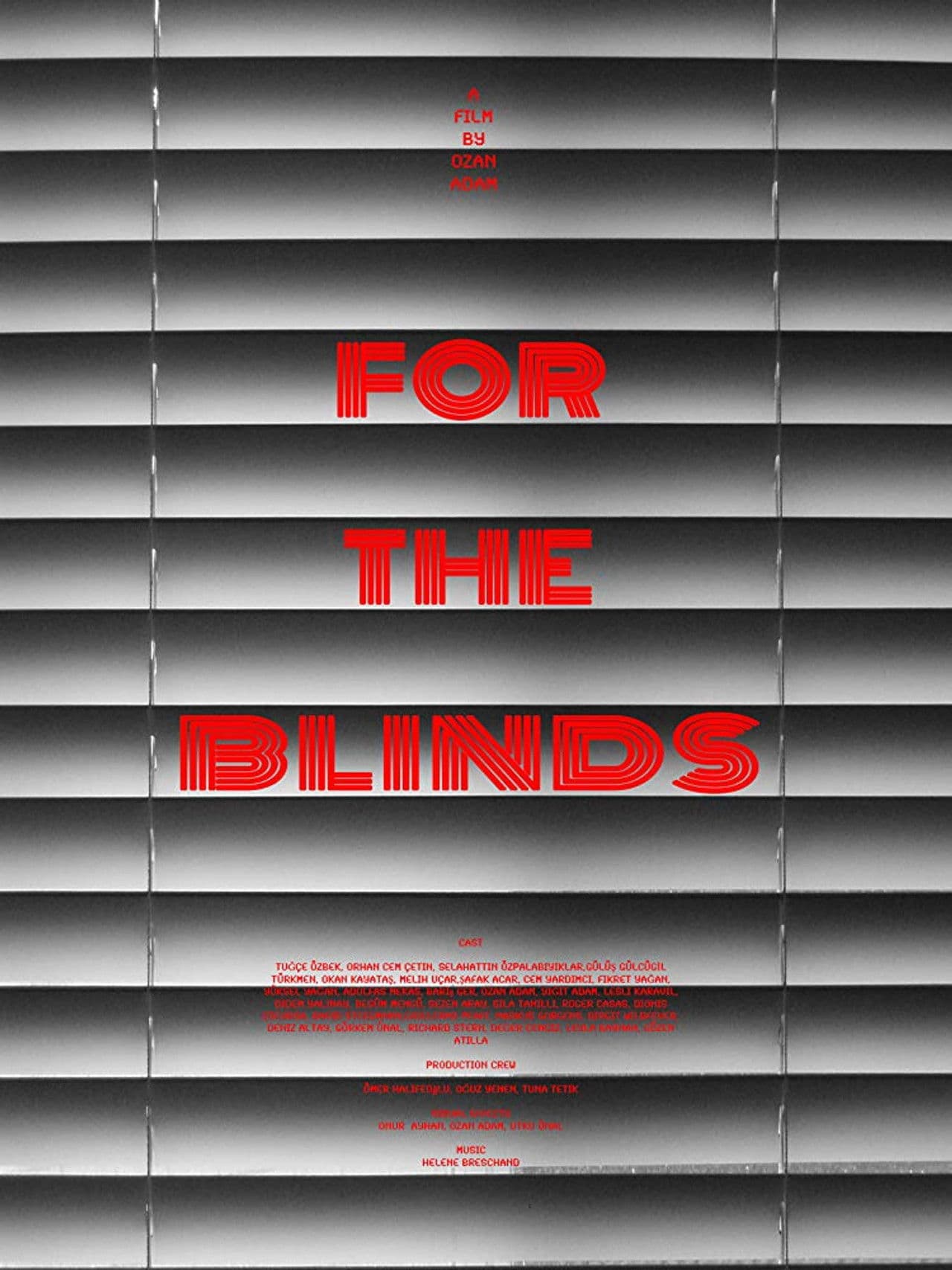 For the Blinds