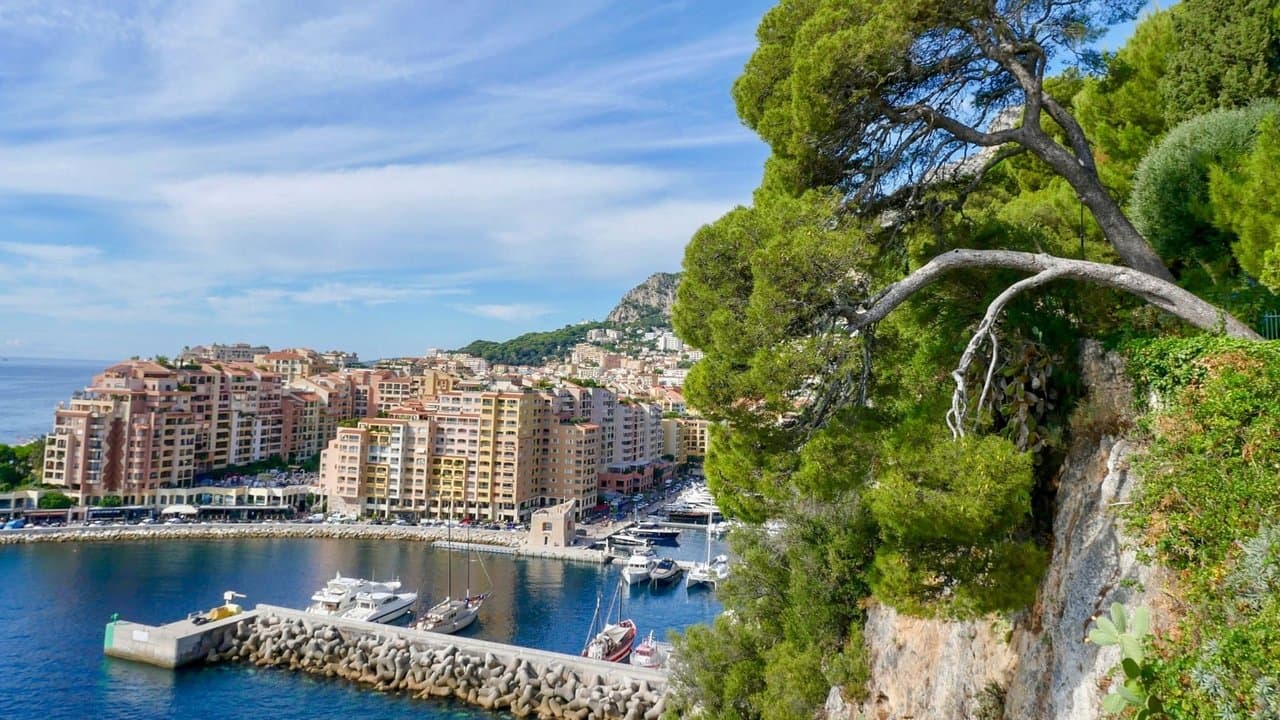 Kleines Land ganz groß