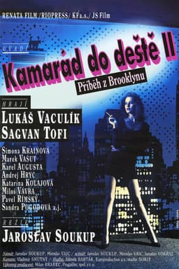 Kamarád do deště II. – Příběh z Brooklynu