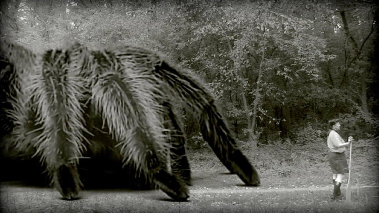 The Giant Spider