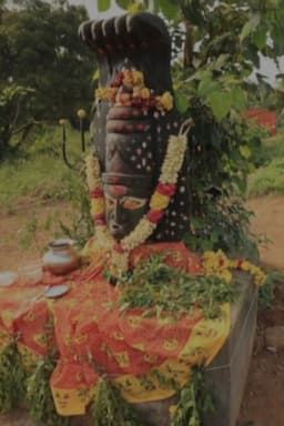 Inde du Sud, le charme Tamoul