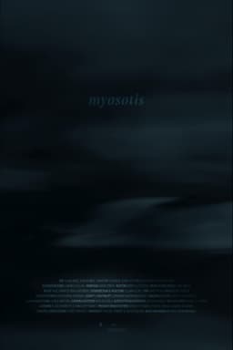 Myosotis