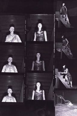 The Miraculous Mandarin