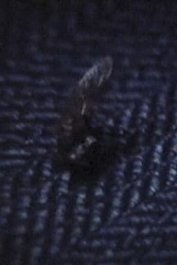 Light Of Darkness (Summer Sketch)