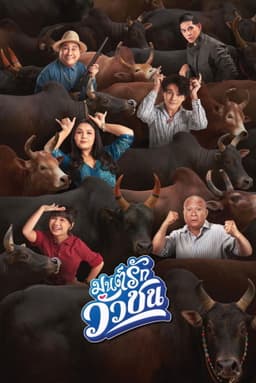 Love Battle vs Bullfighting