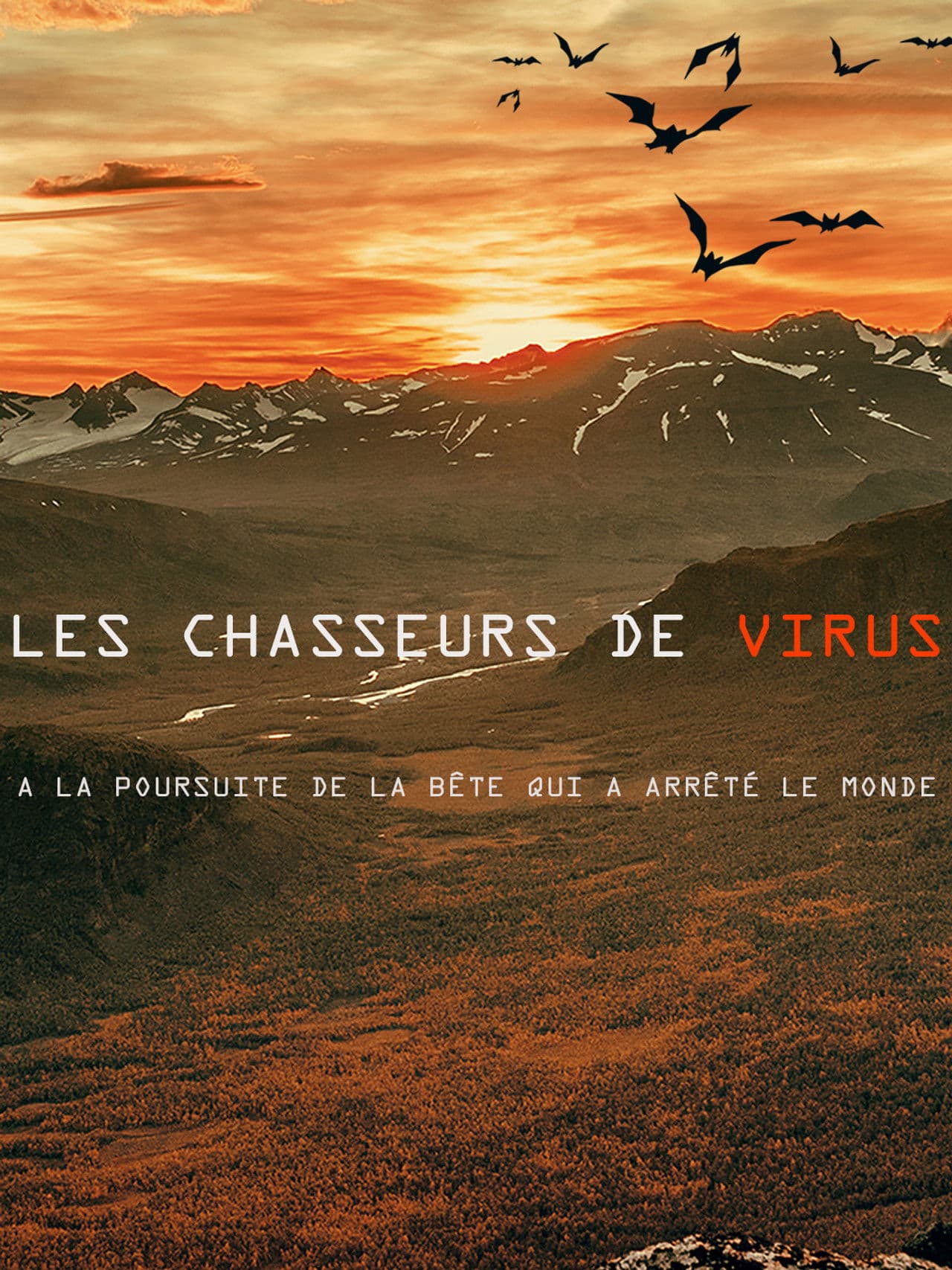 The Virus Hunters : Trailing the Beast That Stopped the Worl‪d