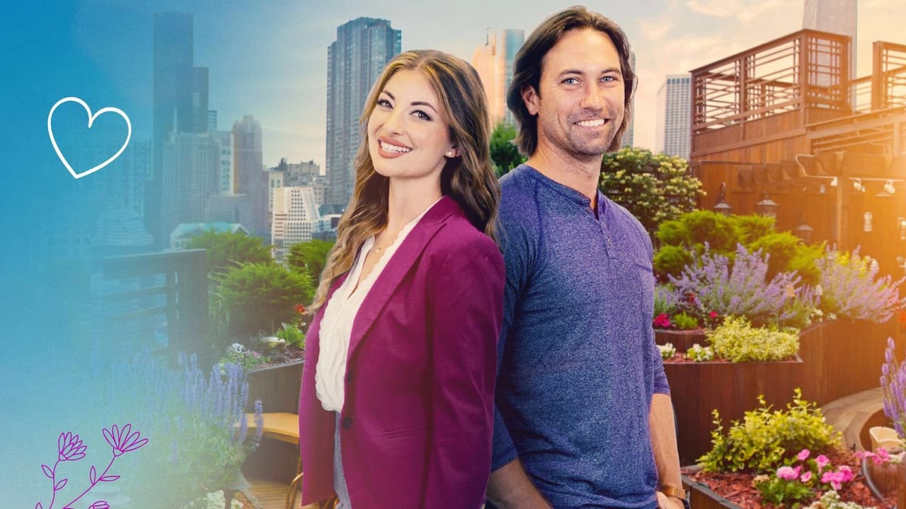 For the Love of Lily