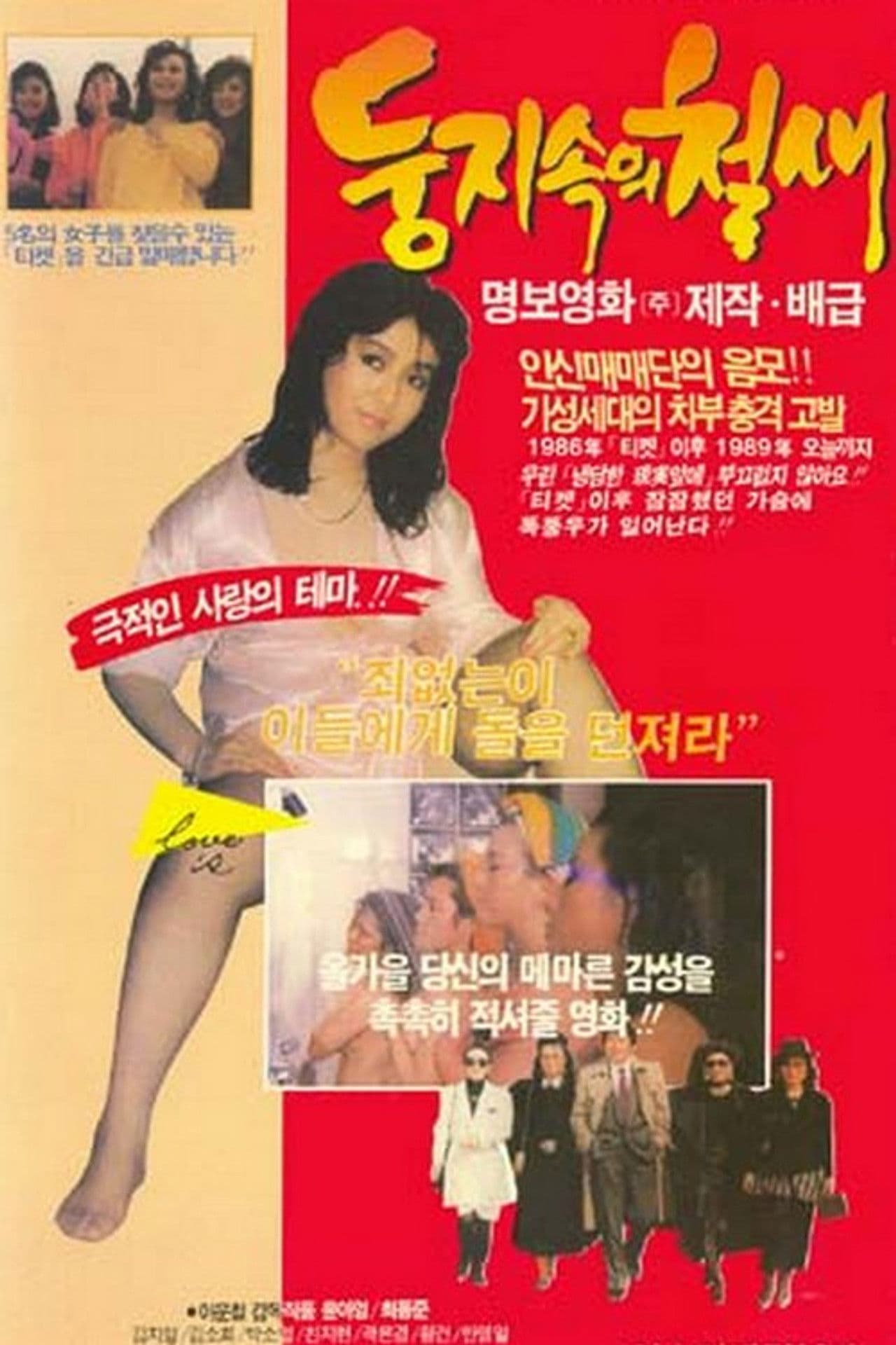 A Migrant Bird in a Nest