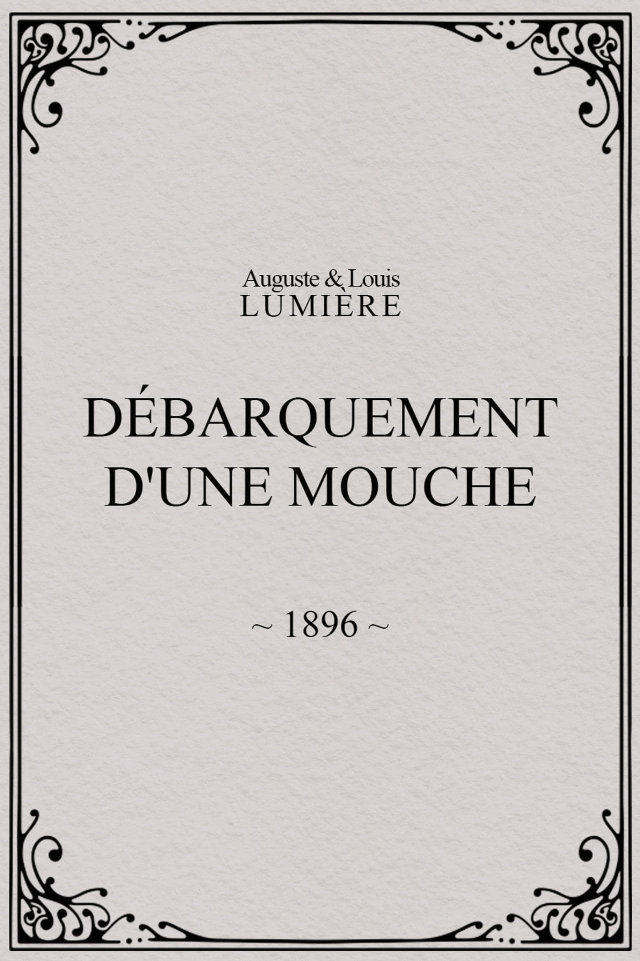 Lyon: Débarquement d'une mouche