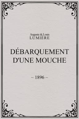 Lyon: Débarquement d'une mouche