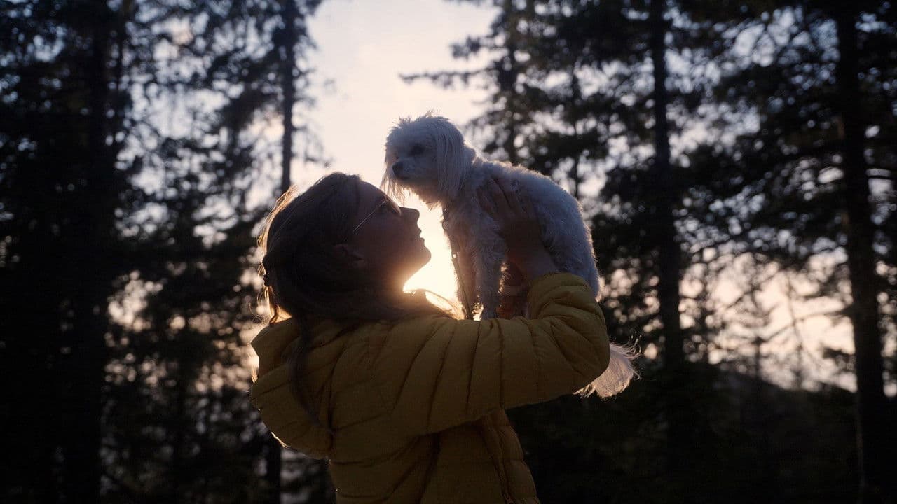 Small Dogs Bark Loud