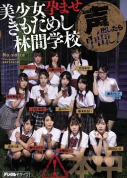 HNDS-068 If She Makes A Sound, She'll Get Creampied! - Beautiful Y********ls Test Their Will Against Guys' Pregnancy Fetishes - Akira Erie (Arai Erie, Yuka Osawa)