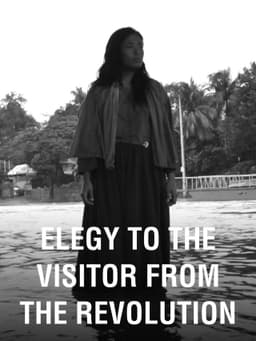 Elegy to the Visitor from the Revolution