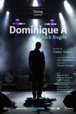 Dominique A, le rock fragile