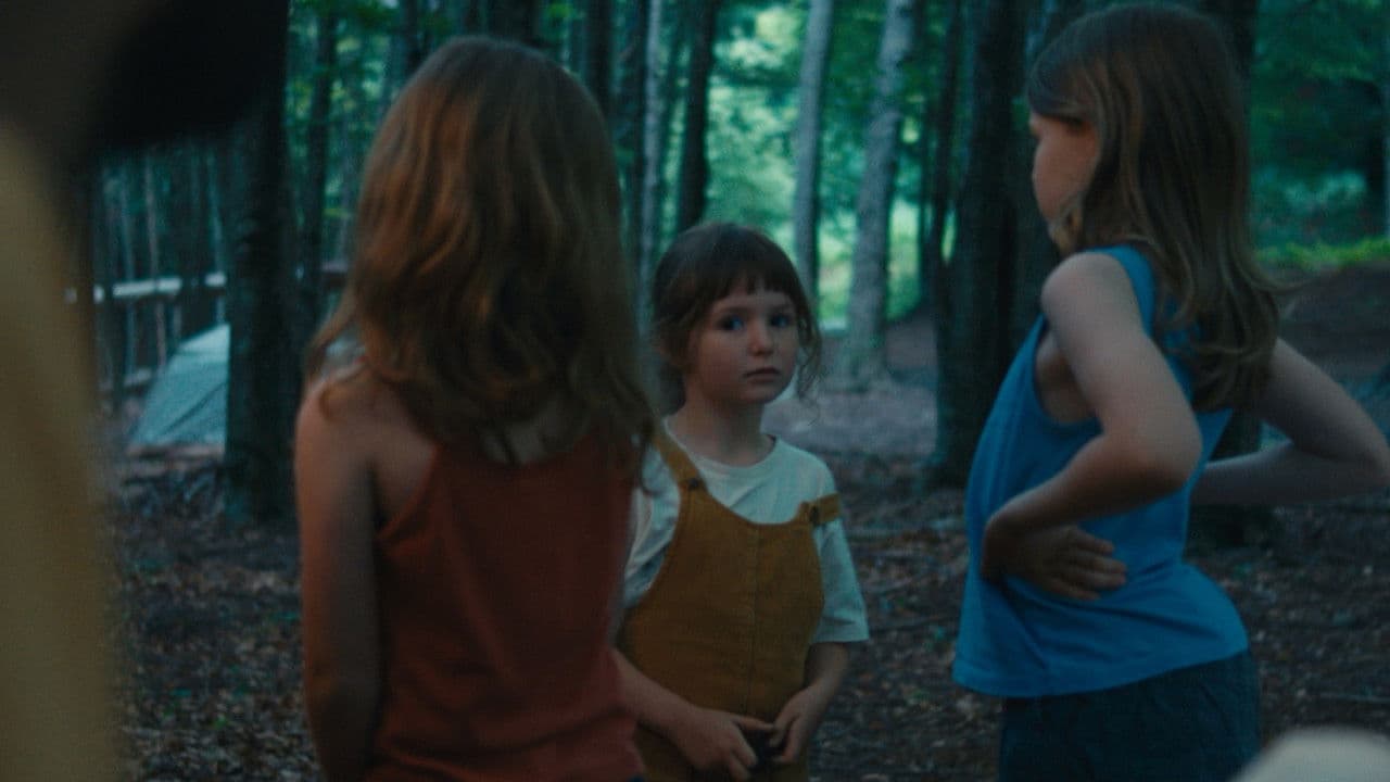 Dissection of An Incoherence in Crisis